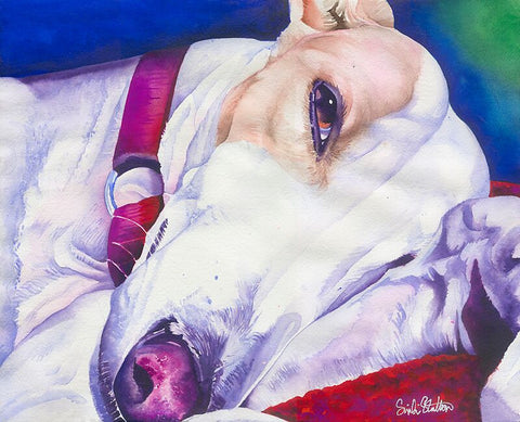 Aura Down Under: Signed Print from original watercolor dog painting.