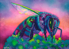 Insect Paintings