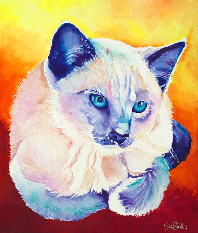 Bruiser: Signed Print from original watercolor cat painting.