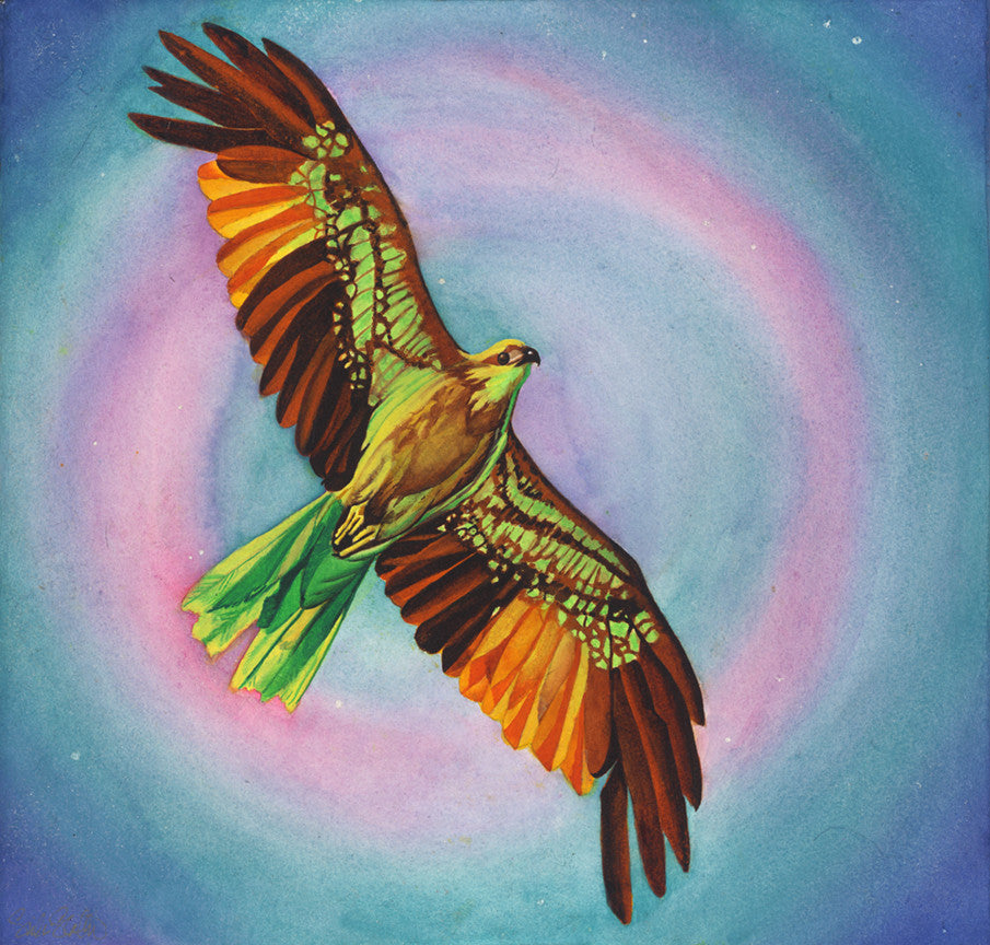 Olga's Dream: Signed Print from original watercolor hawk painting.