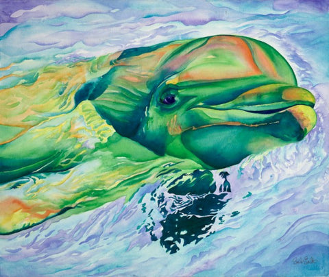 Orlando: Signed Print from original watercolor dolphin painting.
