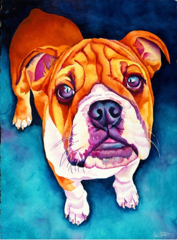 Elby: Signed Print from original watercolor american bulldog puppy painting.